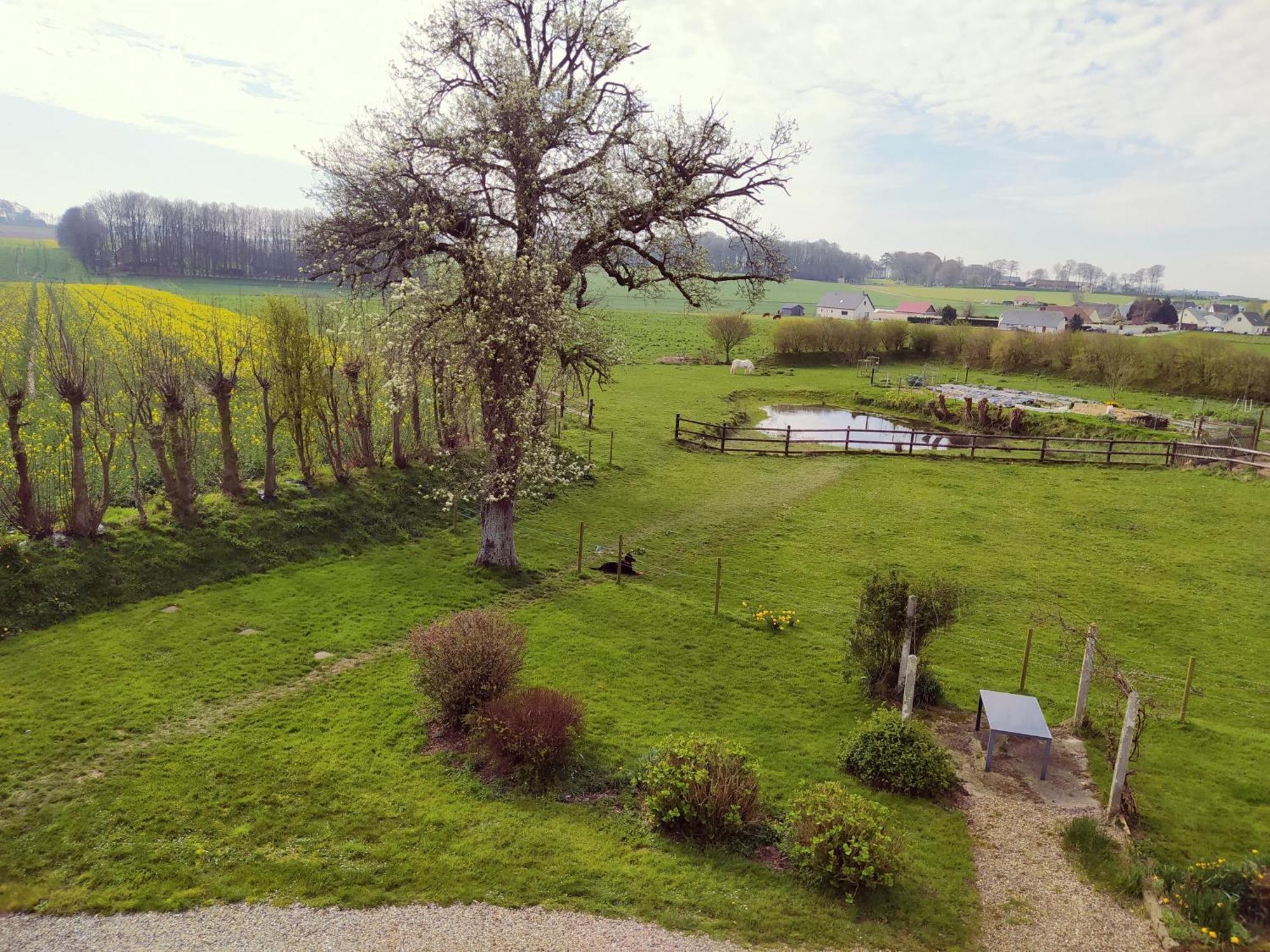 Chambres D'Hotes " Le Clos Des Colimacons " Maniquerville Kültér fotó